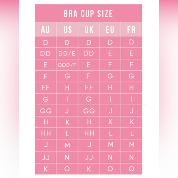 lepel | NWT light blue lace “Iris” plunge push up bra with removable padding - Picture 10 of 10